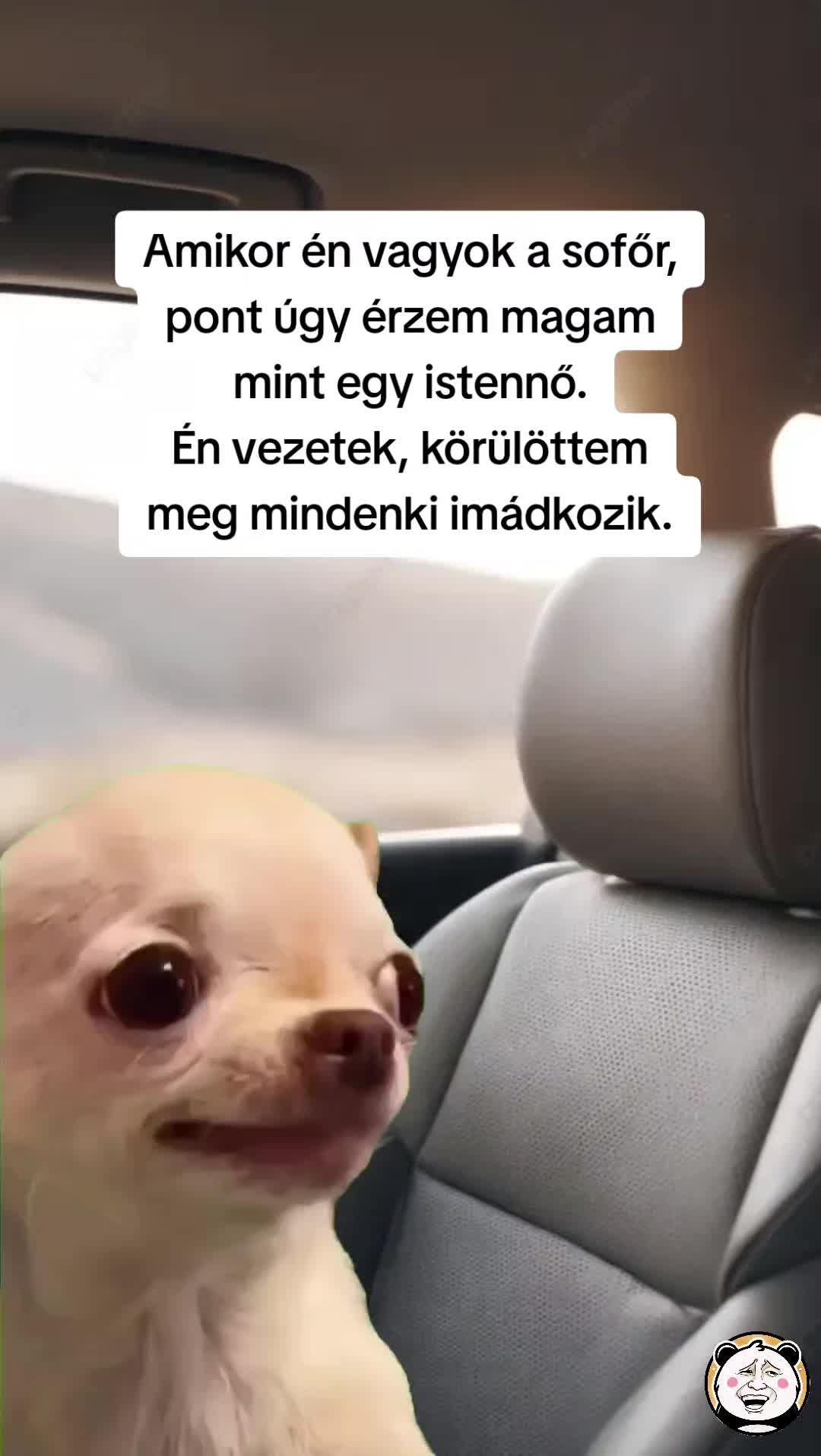 @🐼 Po&eacute;nPanda 🐼