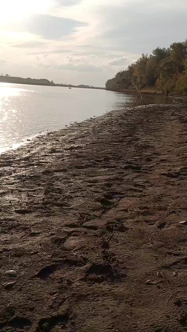 @Николай