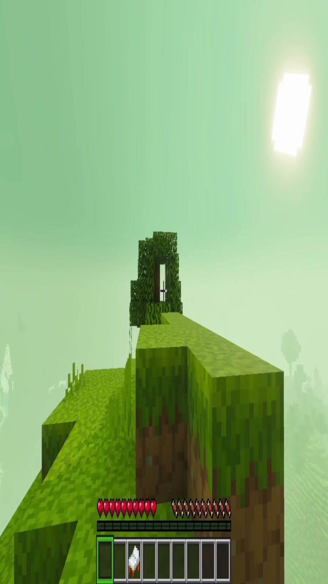 @TheEnderMan