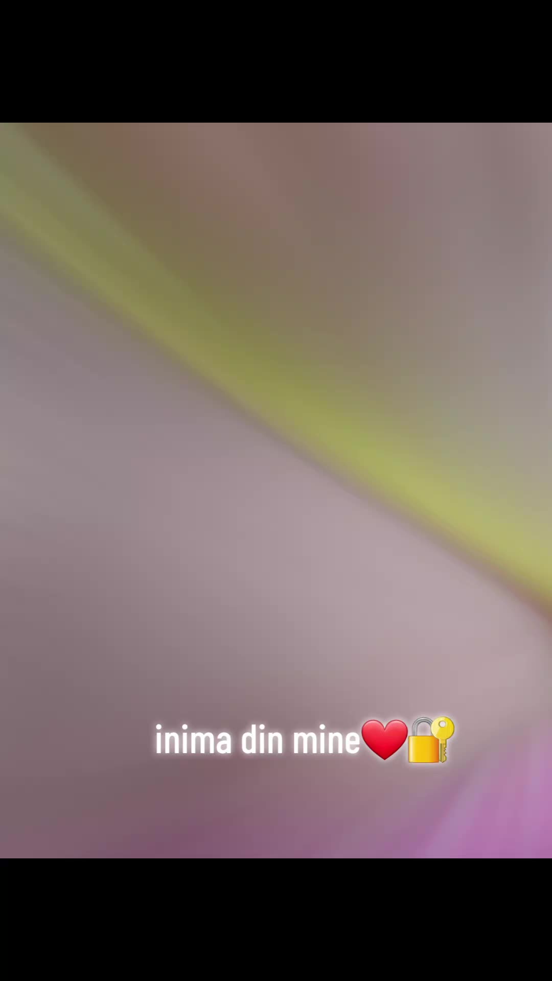 @Mihaela M Ionut D