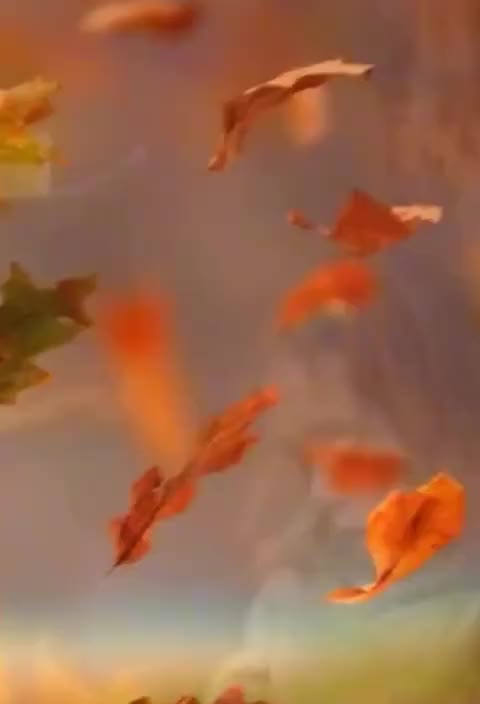 @നിഴൽ