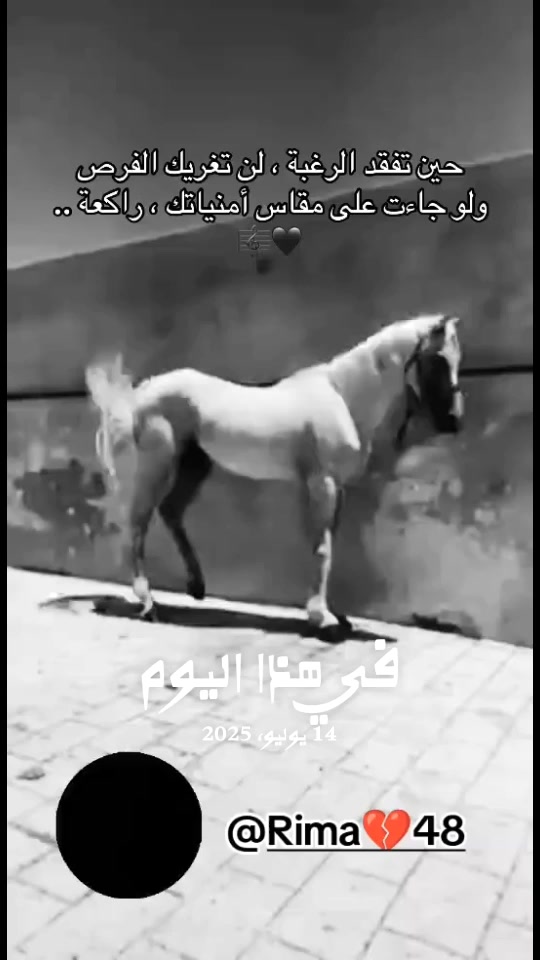 @Rimaa48k