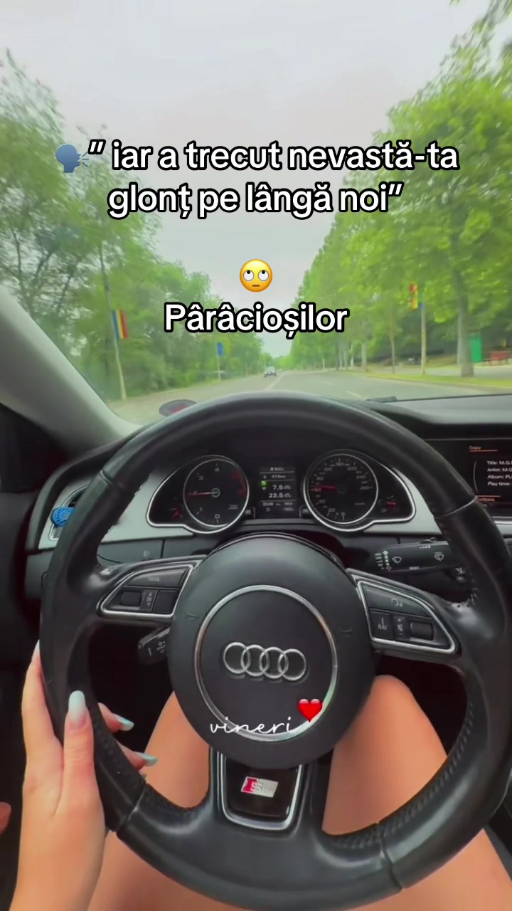 @Amalia Voicu