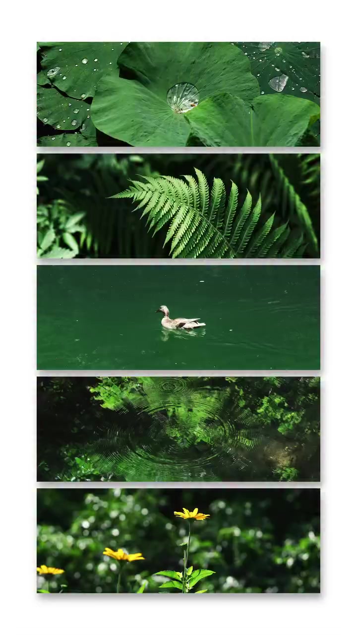 @Hasselblad