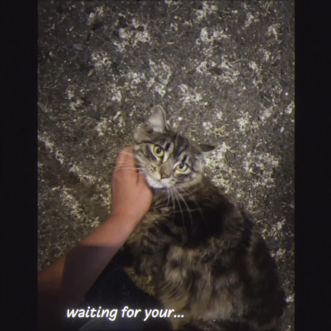 @𝒥𝒶𝓏𝓏 𝓈𝓅𝒶𝓂
