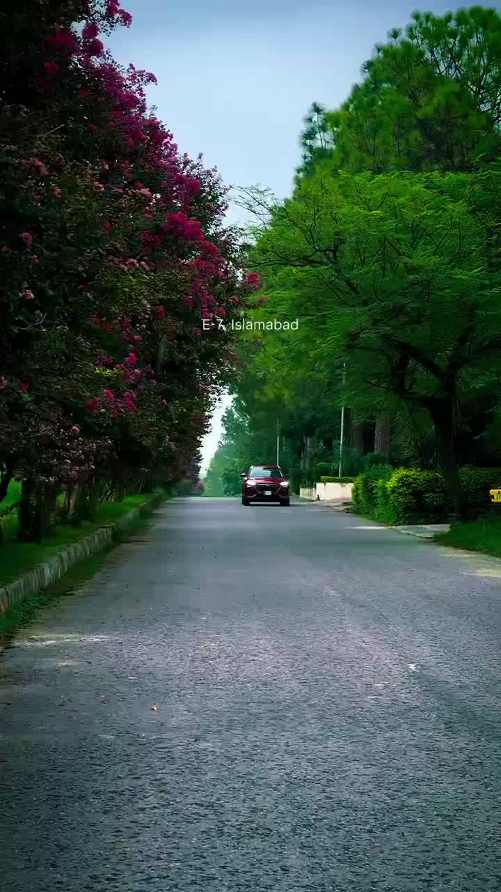 @Dr._isb