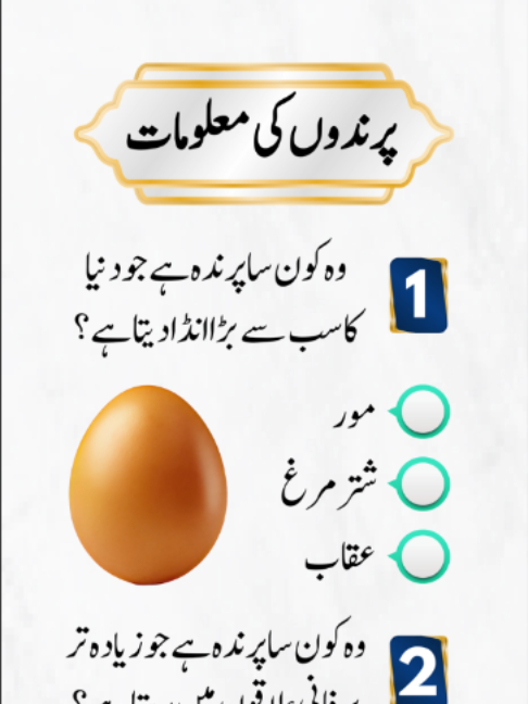 @EMAN QUIZ