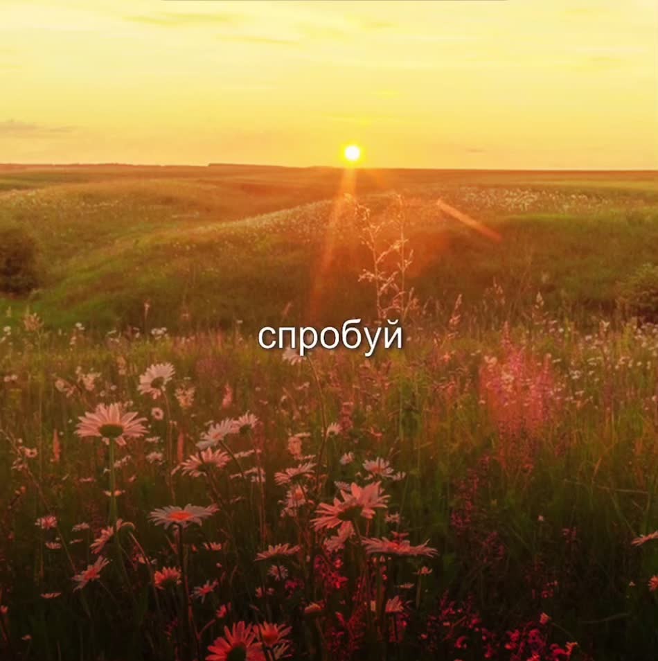 @daria🇺🇦