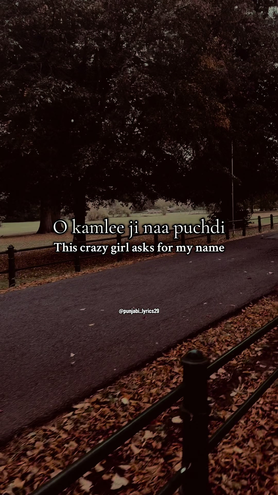 @punjabi_lyrics29