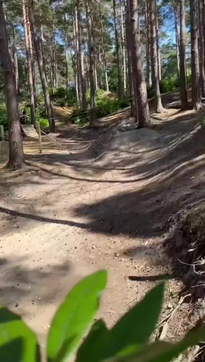 @dexter__mtb