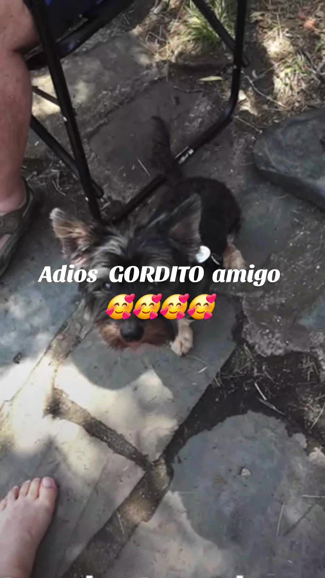@claudiumarianpo73