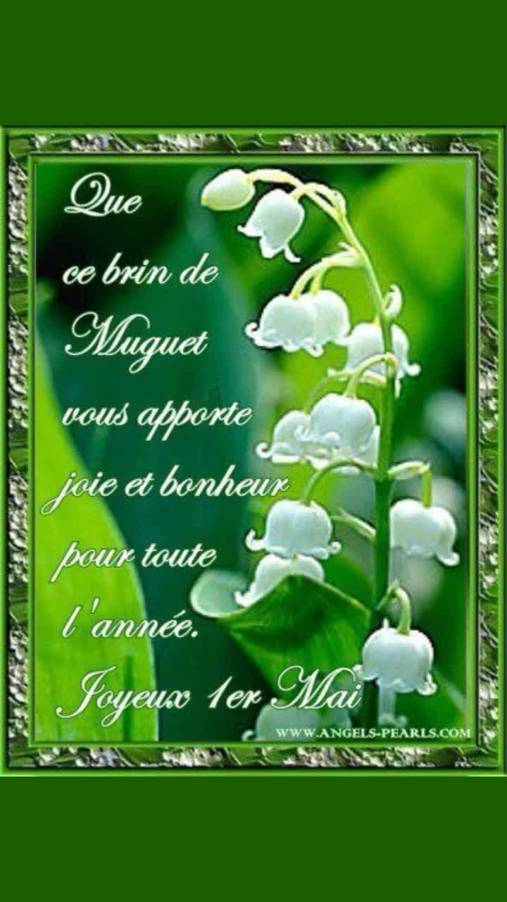 @🇫🇷 Frédéric THOMAS 🇫🇷