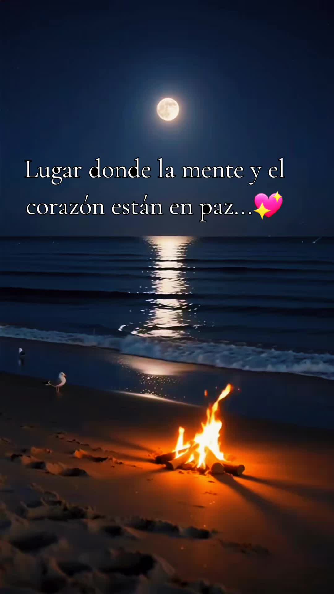 @Mariem