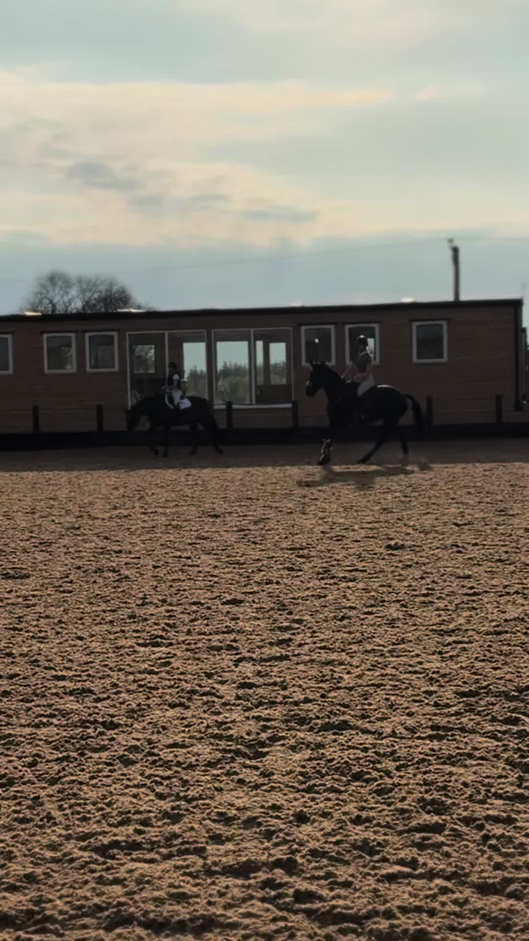 @Lilly & Bruno 🐴