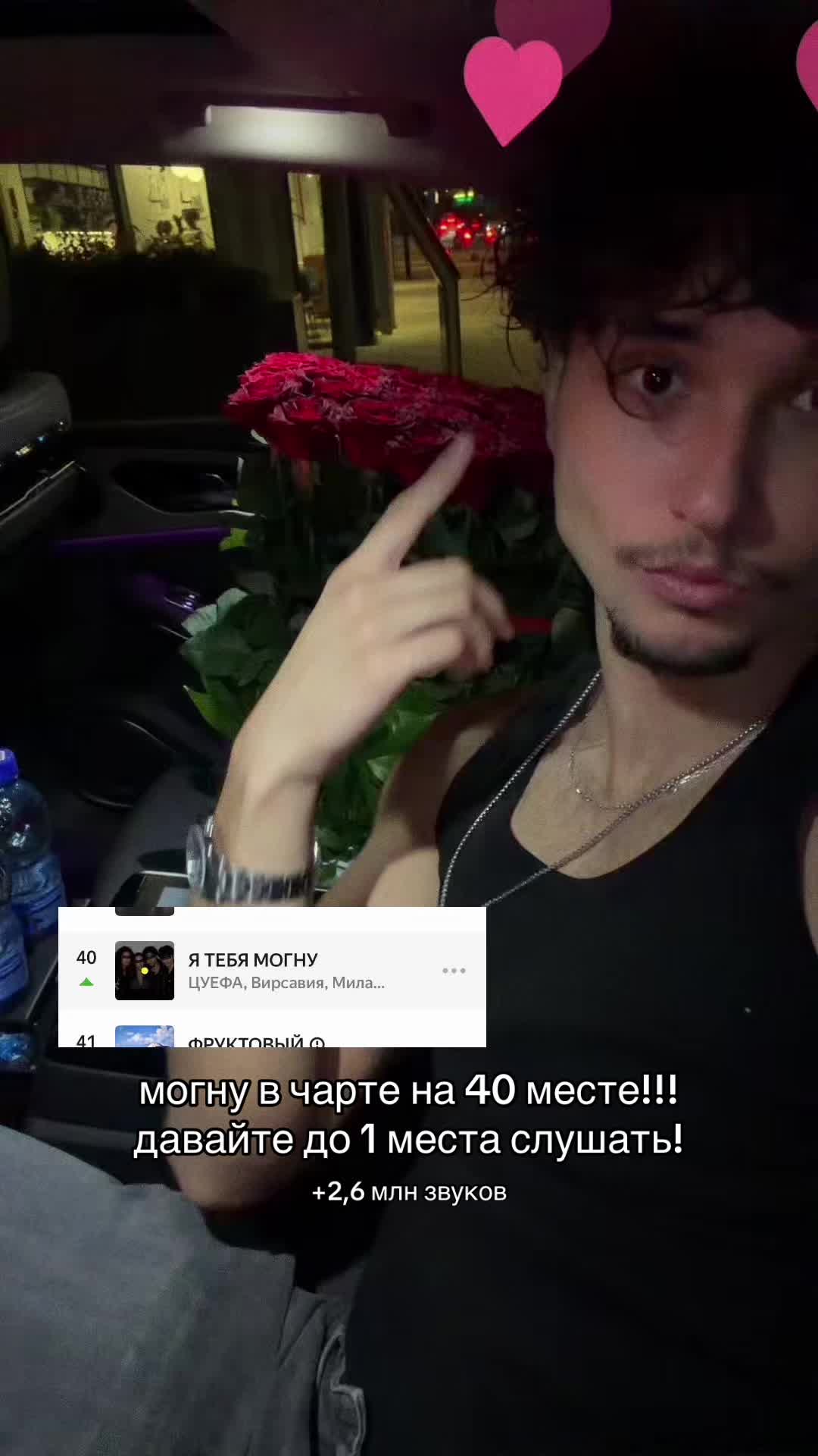 @lizogub