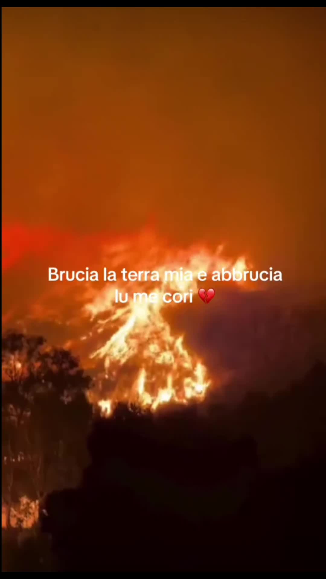 @💖 ɐɔıssǝſ 💖