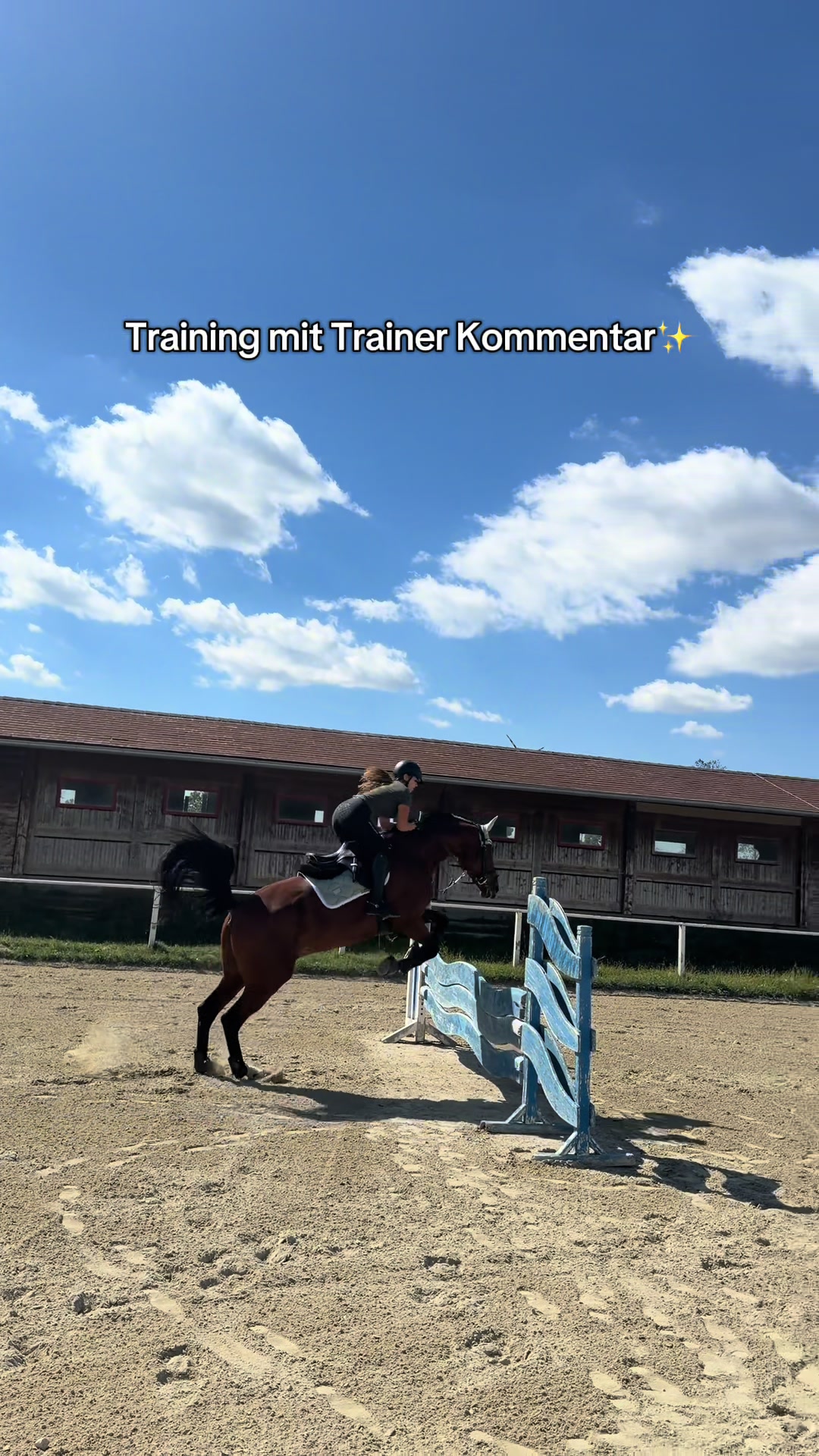 @sophietschi_x_equestrian