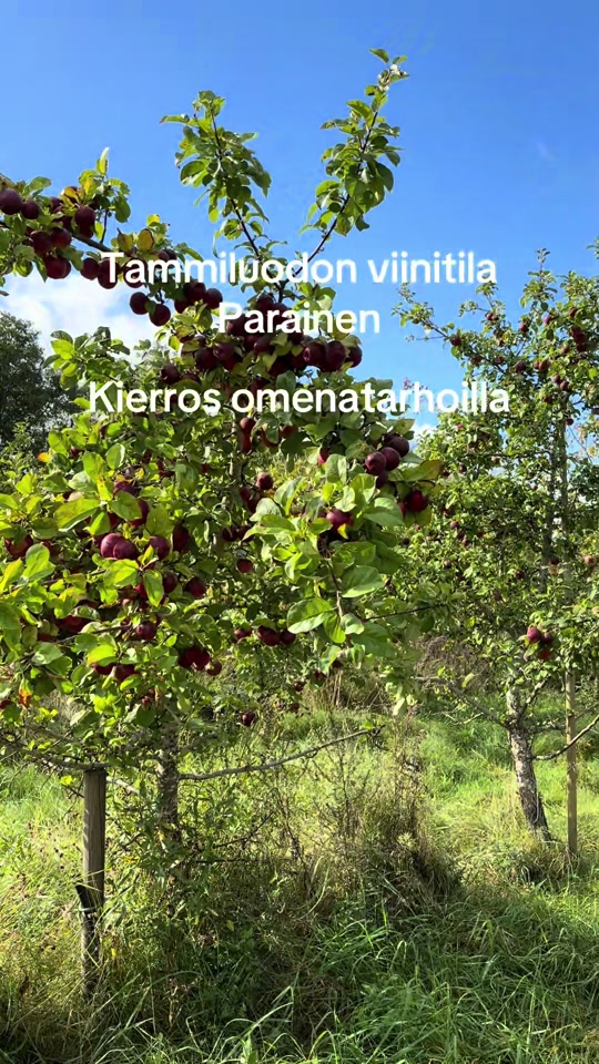@Satu Laakso