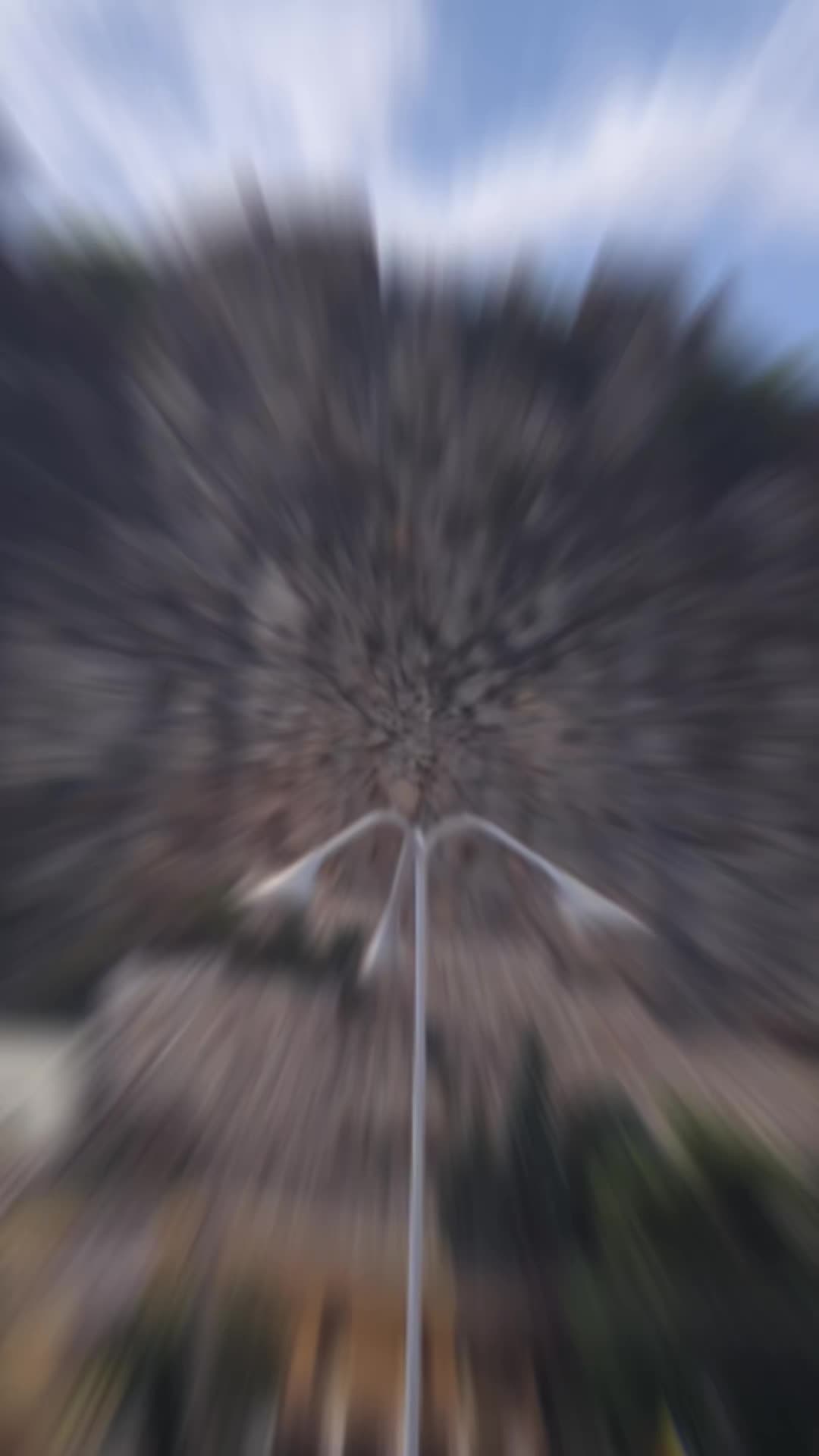 @Alex JJ