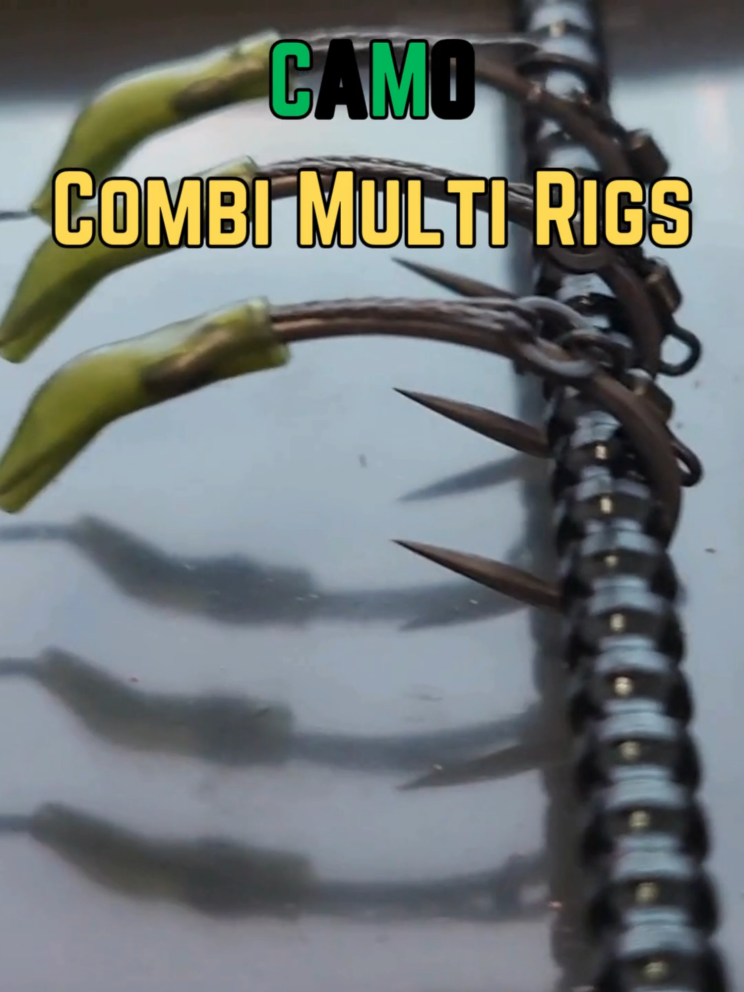 @Thats Carpy Rigs