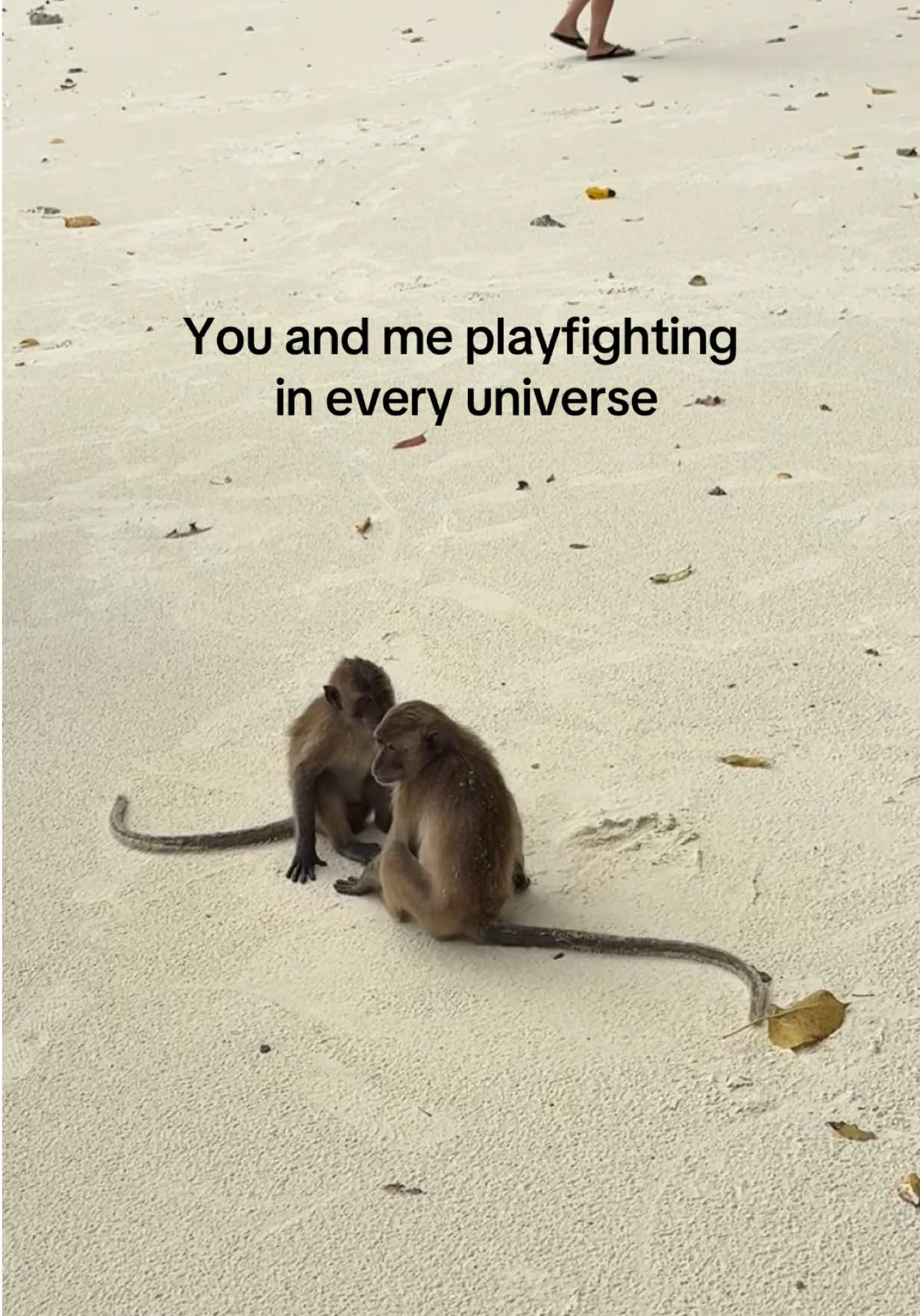 @M