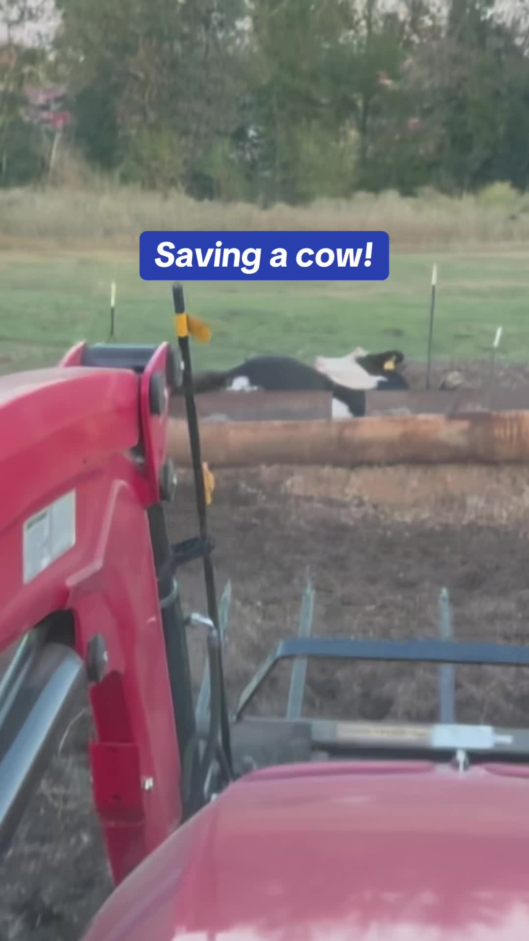 @Rutherford Land and Cattle