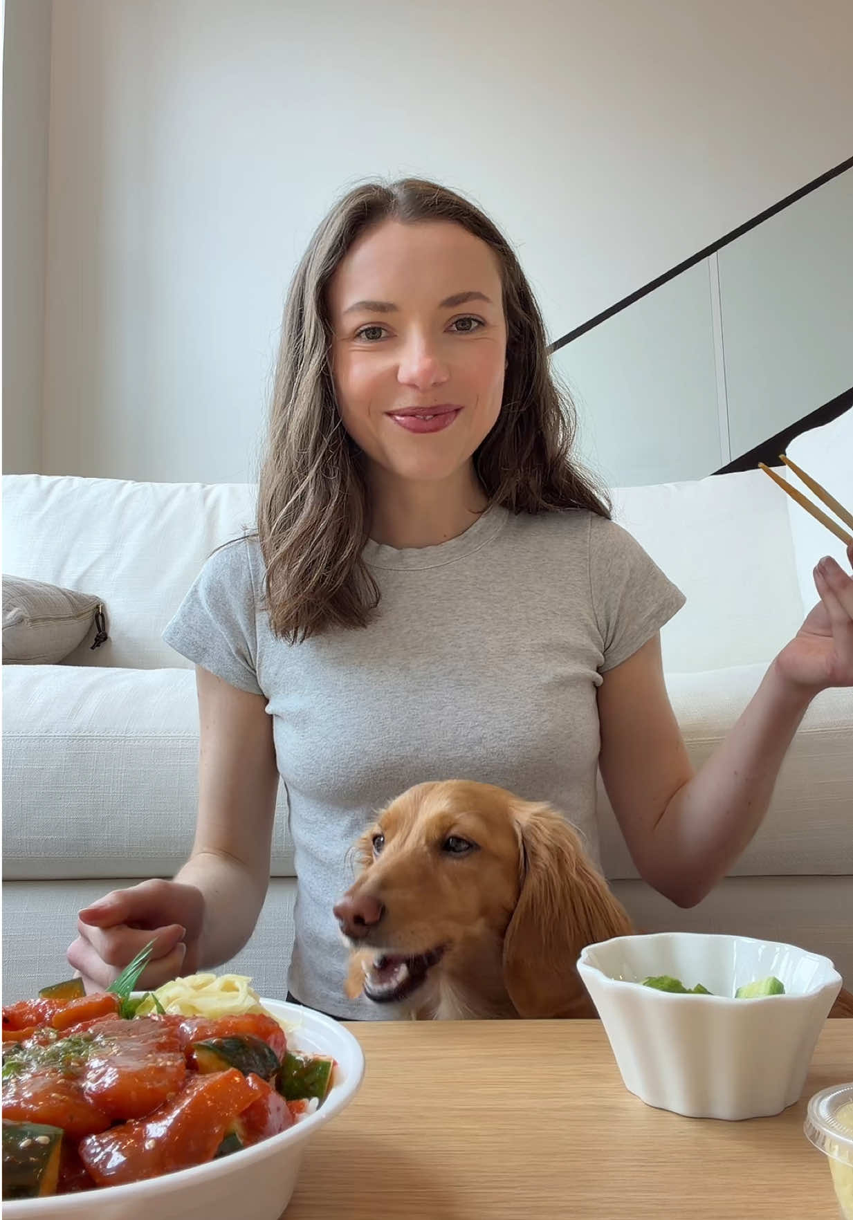 @cashewdachshund