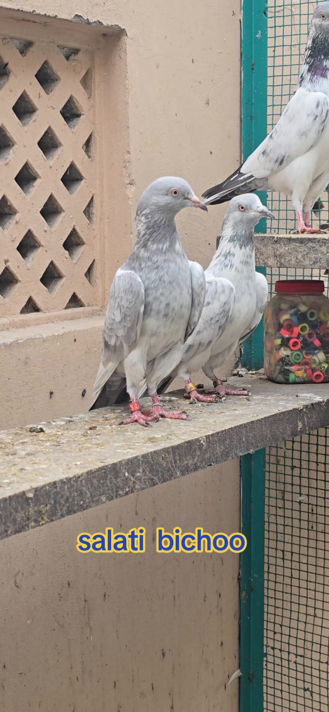 @Malik Mohkam Khokhar