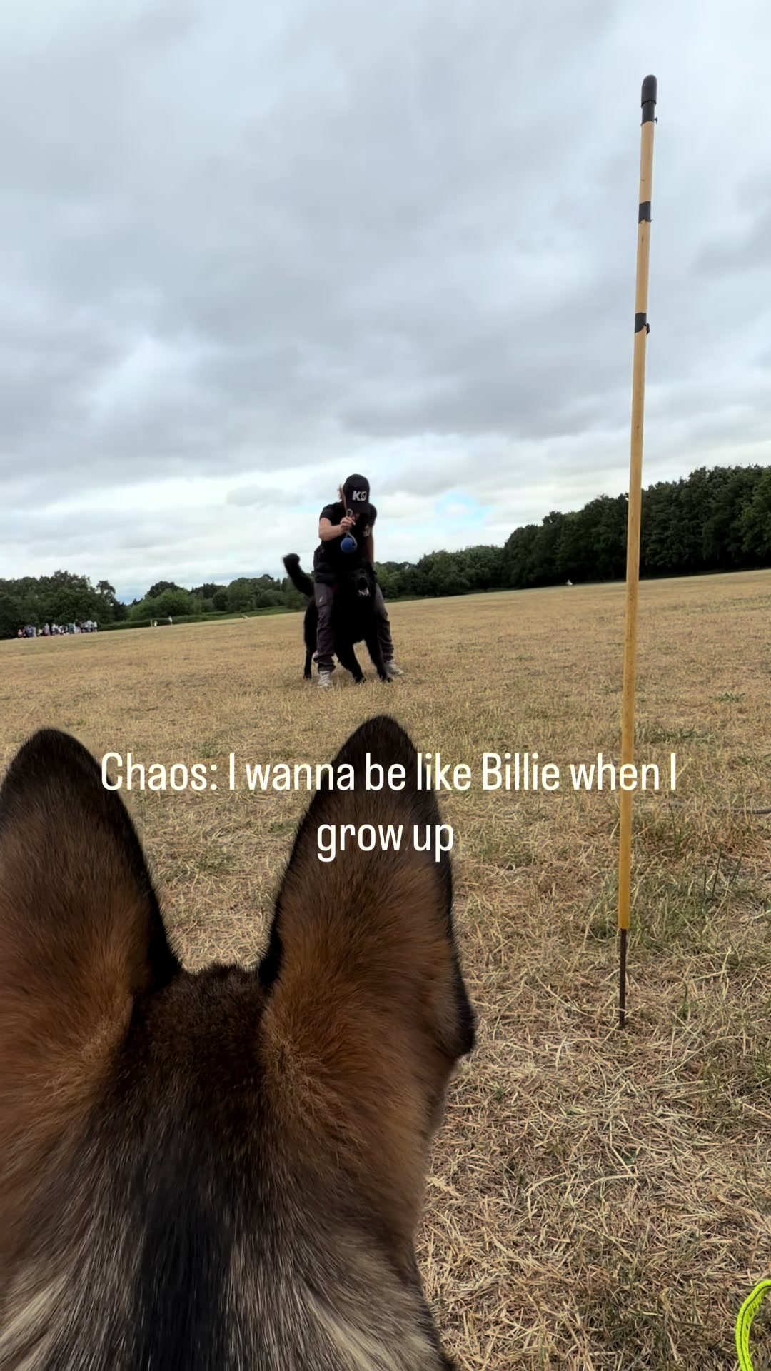 @Vonbekkas GSD