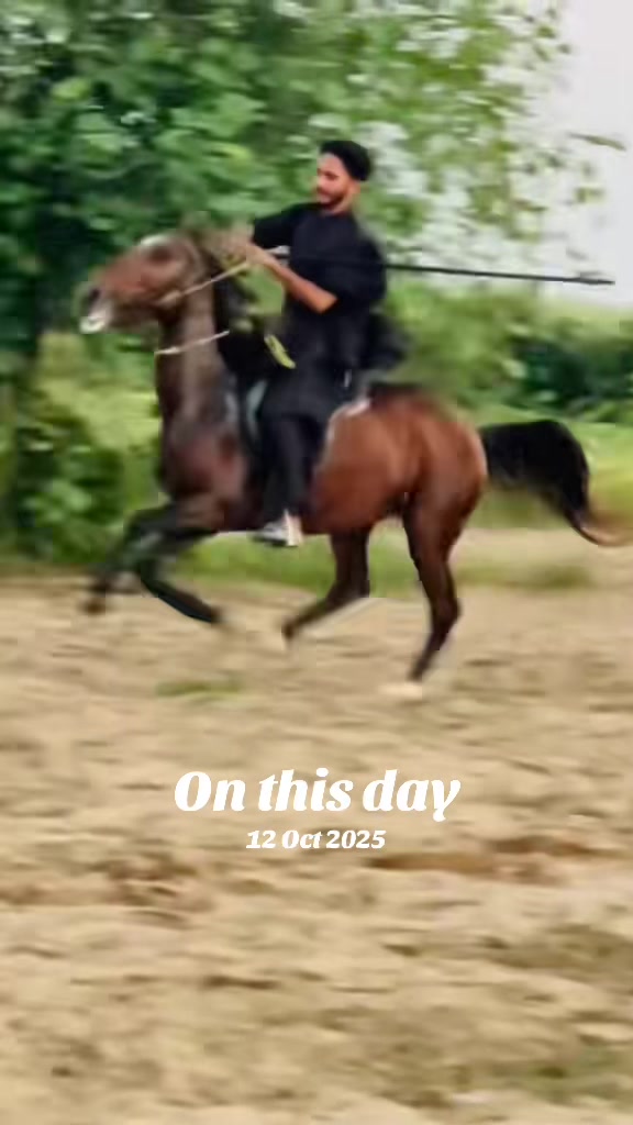 @Ch Hammad bokan ♥️🐎