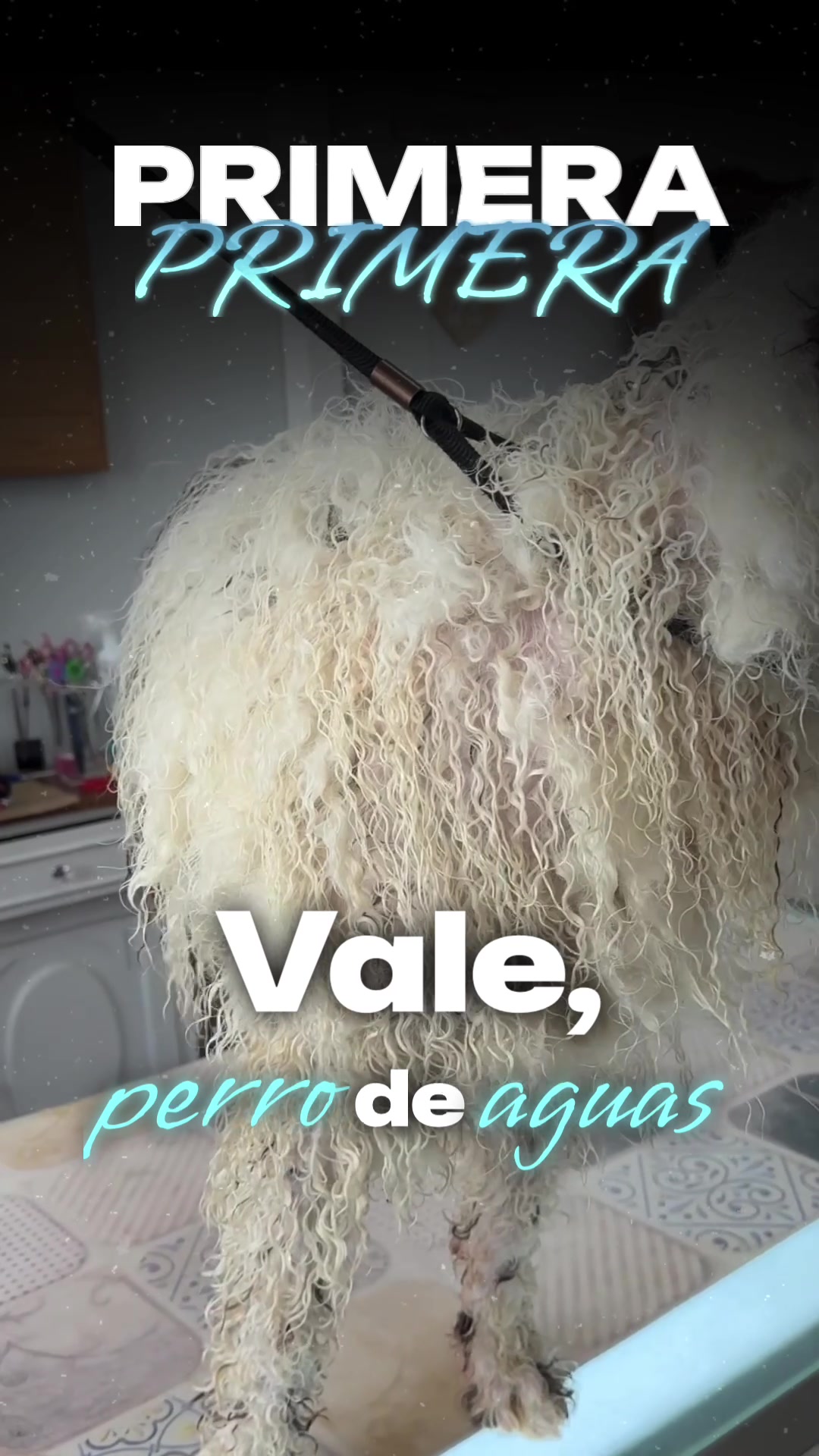@Lidia L&oacute;pez