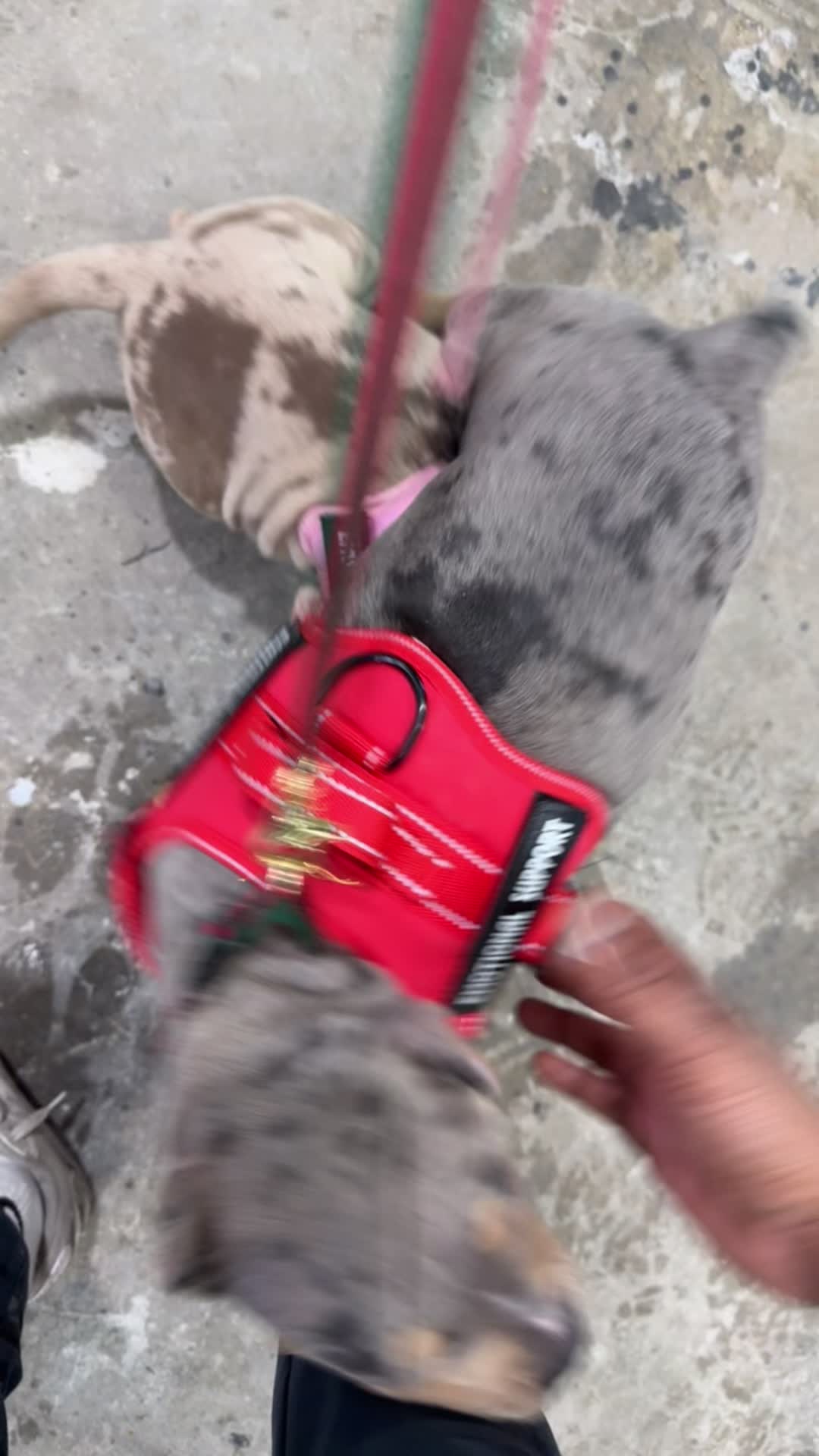 @Book876🇯🇲🇯🇲🇯🇲🇯🇲