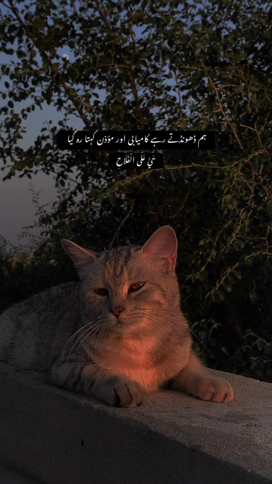 @𝙏𝙖𝙡𝙝𝙖 𝟐🫀❤️&zwj;🩹