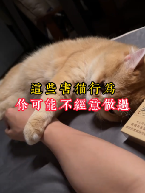 @catology