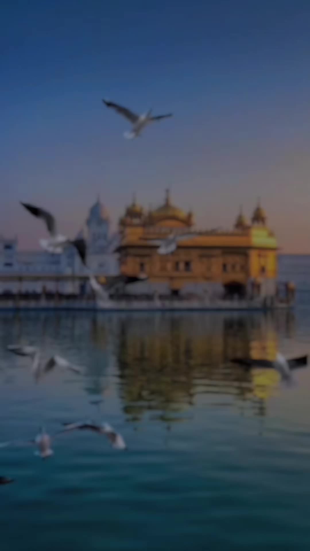 @Golden India