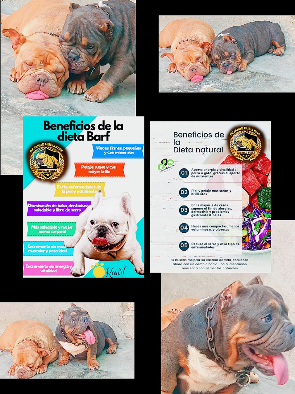 @arevalobullsper&uacute;