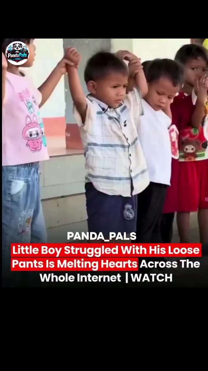 @PandaPals