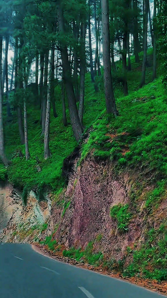 @Ch_ AwàîŠ..!!