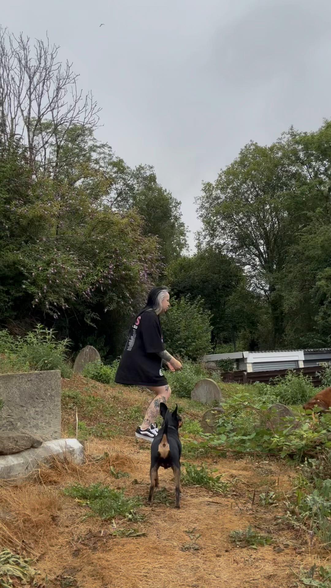 @KimKenobi_ 🦇