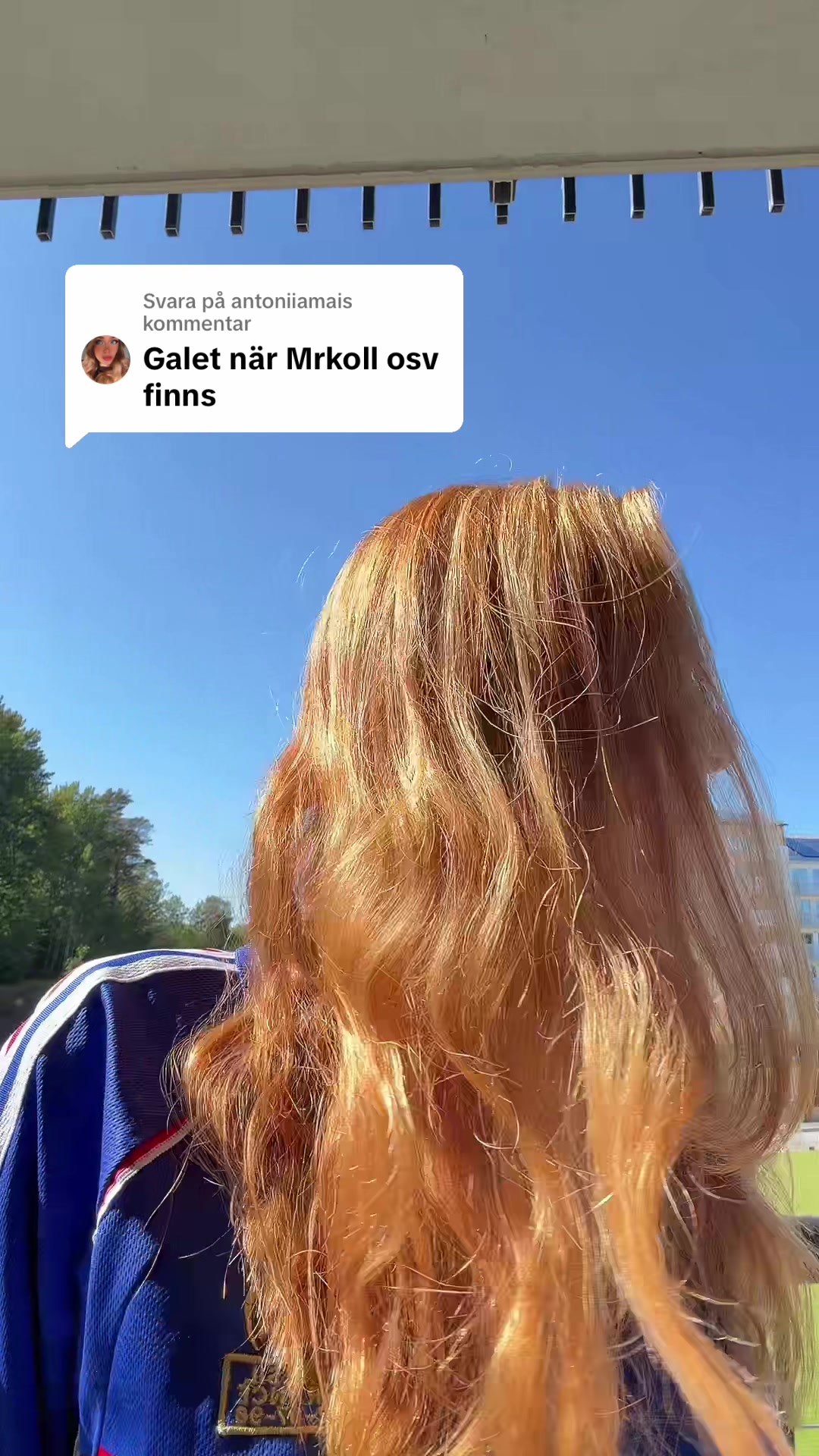 @LK_Diaries🇸🇪