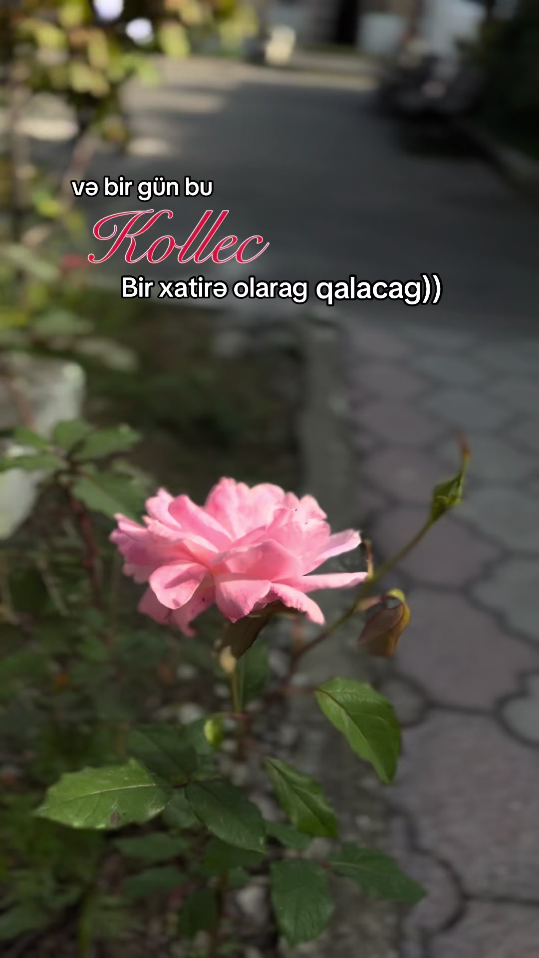 @Yuska 513