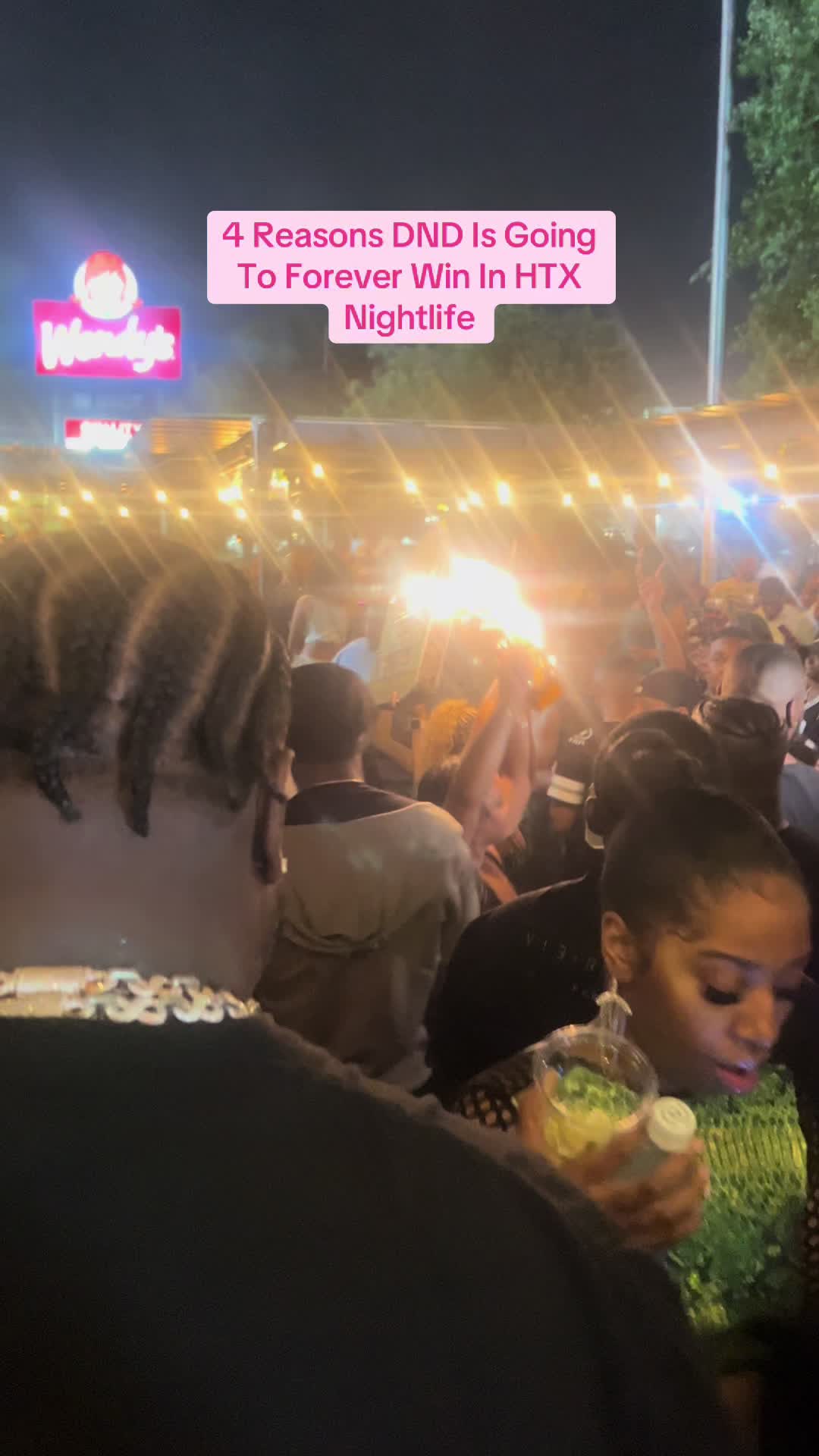 @akthesectionplug