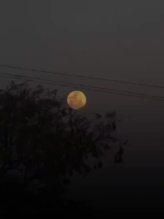 @rebwari namo رێبوارێکی نامۆ
