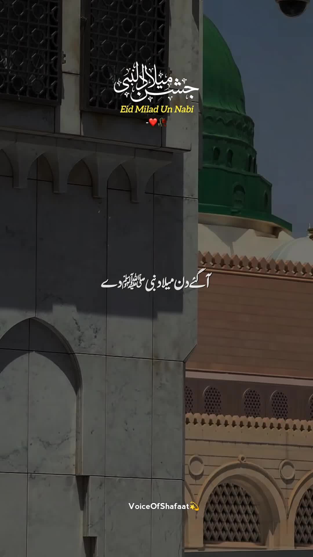 @VoiceOfShafaat💫
