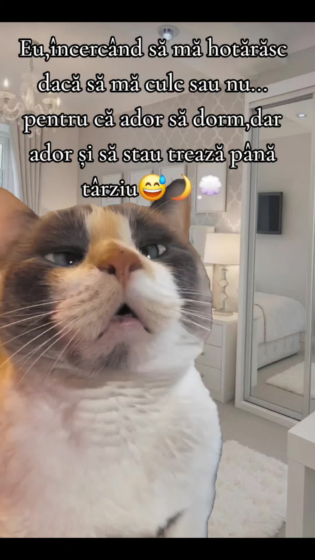 @ank_andreescu867