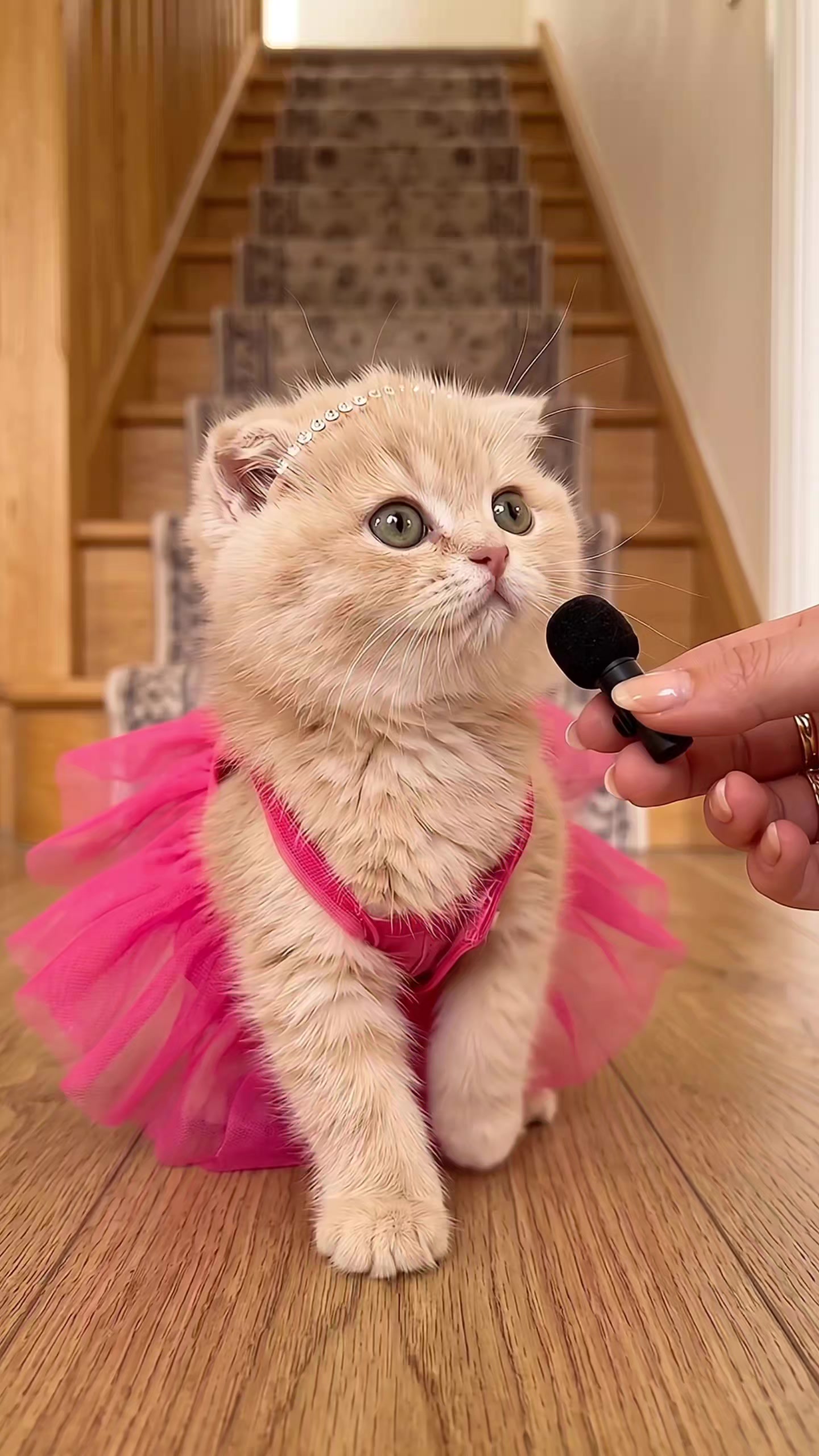 @Kiki