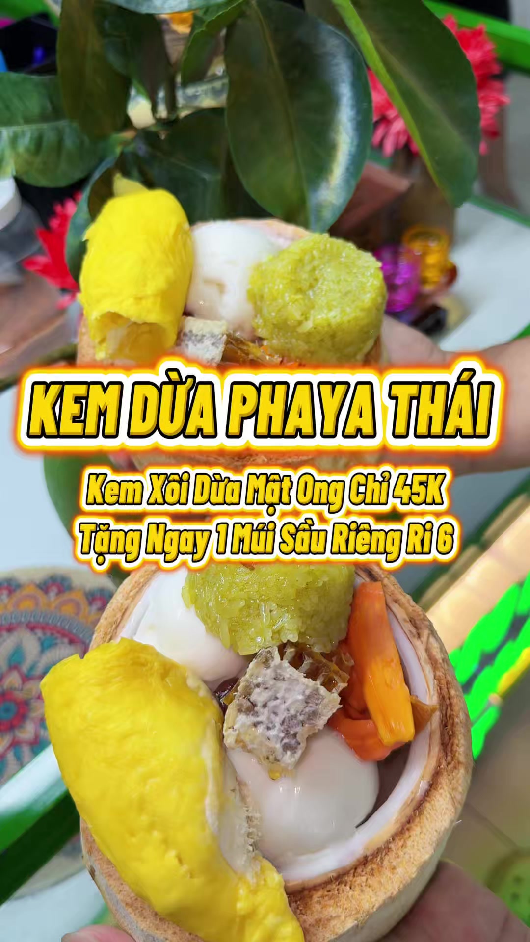 @R&Igrave; VIU B&Igrave;NH DƯƠNG