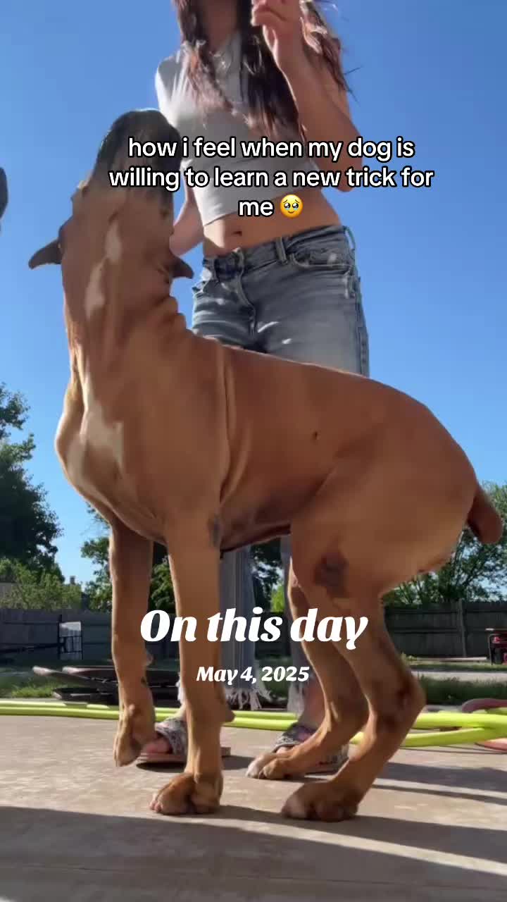 @jenny sosa