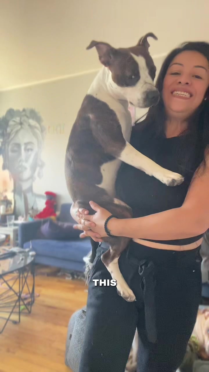 @Britney.paws🐾✨