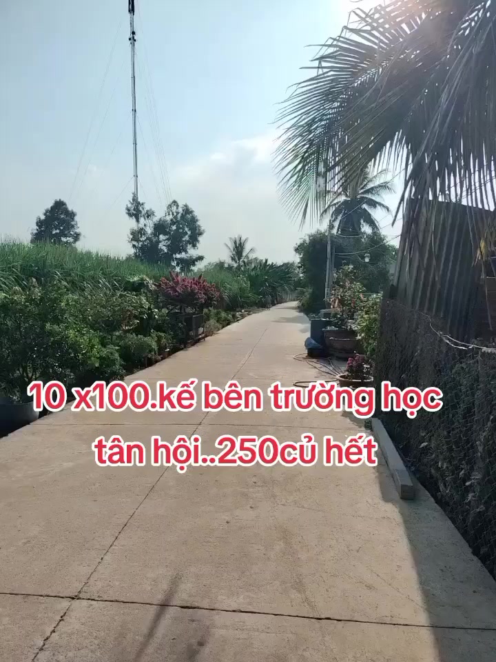 @phú sohs tổng hợp